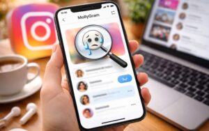 MollyGram Anonymous Instagram Story Viewer