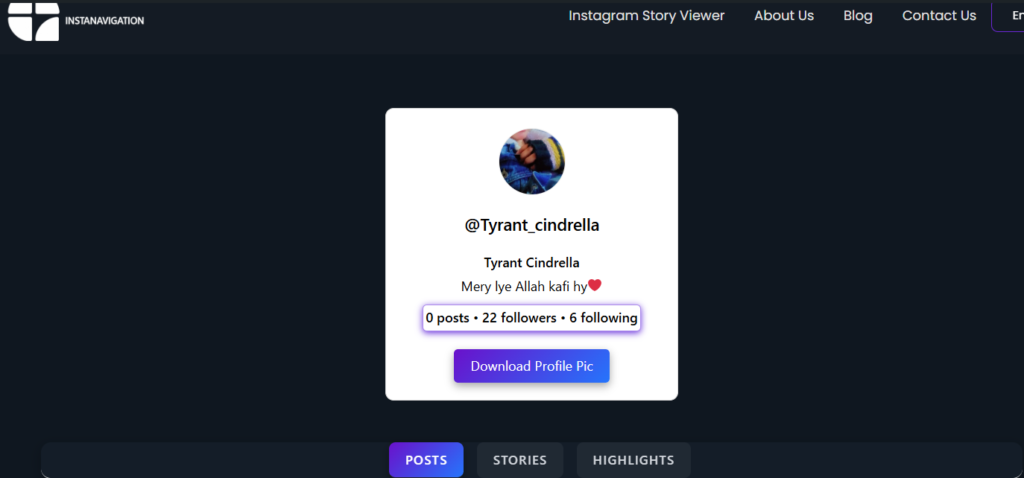 Instagram public profile viewer
