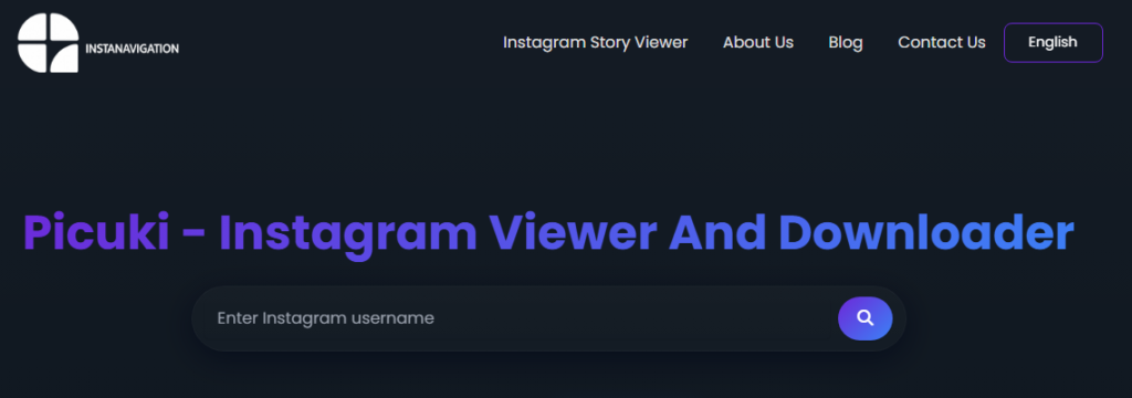 picuki instagram story viewer